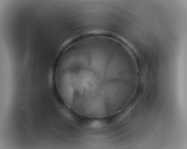 X0000114100111200910131330