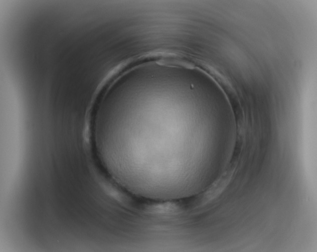 X0000114100112200910131330