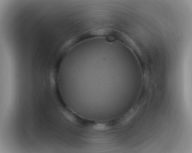 X0000114100114200910131330