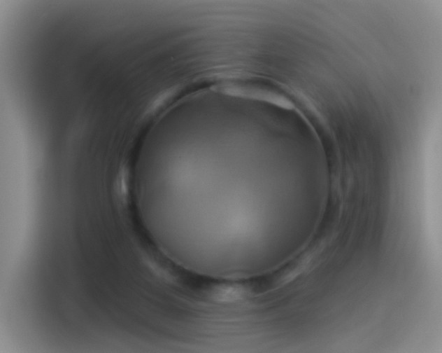 X0000114100115200910131330