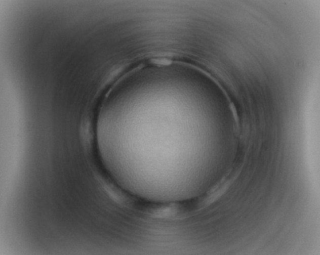 X0000114100116200910131330