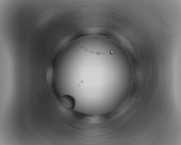 X0000114100118200910131330