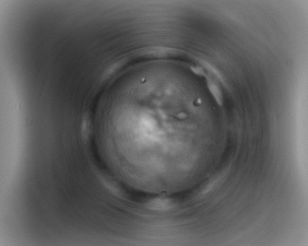 X0000114100119200910131330