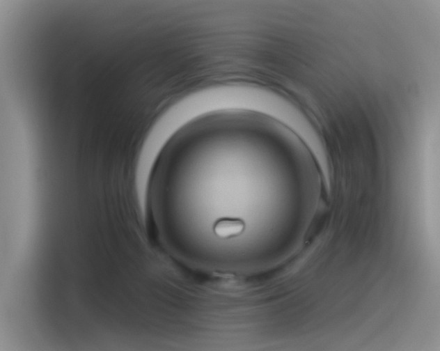 X0000114100121200910131330