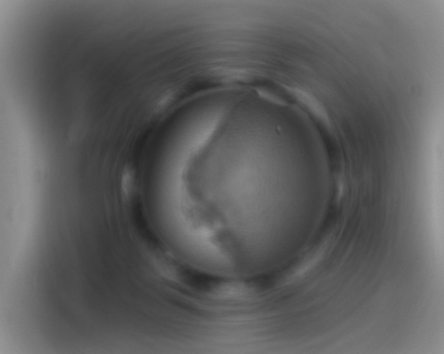 X0000114100123200910131330