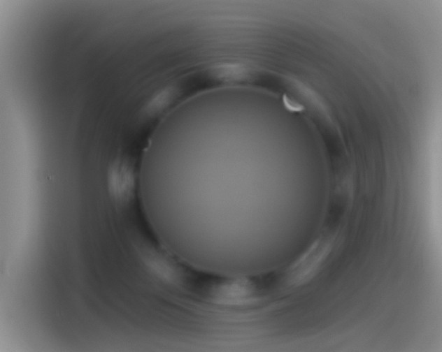 X0000114100124200910131330