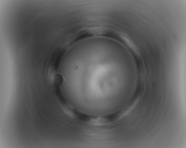 X0000114100125200910131330