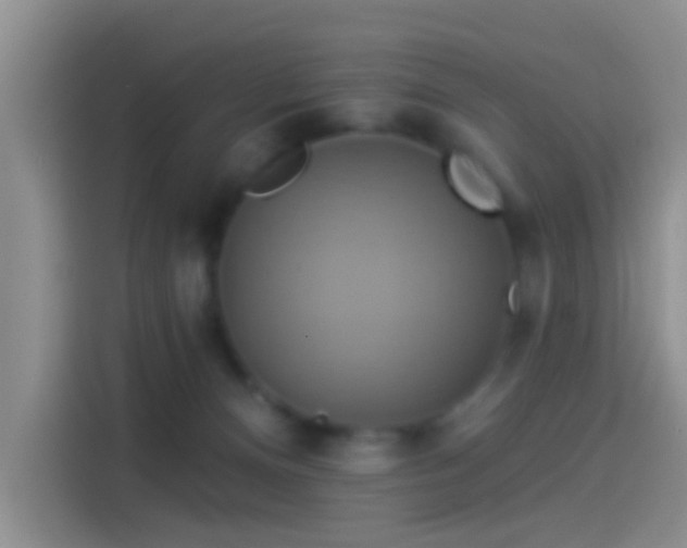 X0000114100128200910131330