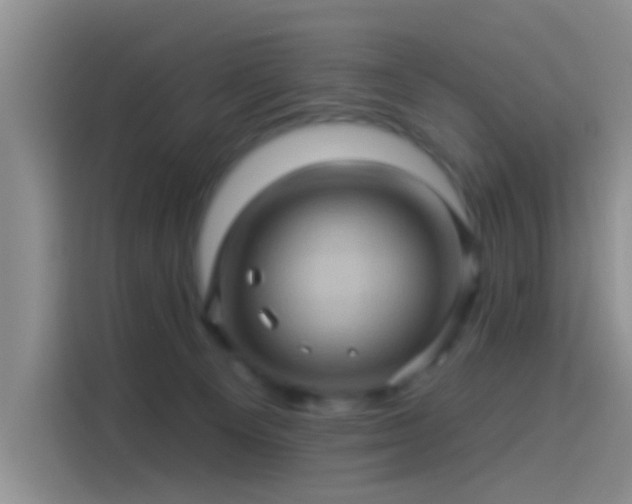 X0000114100129200910131330