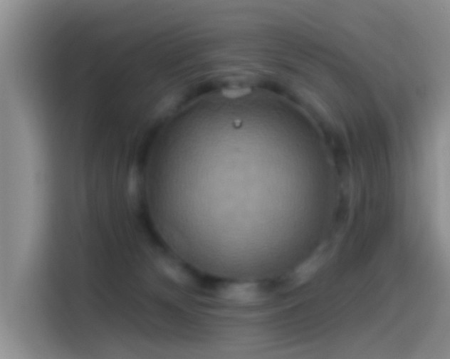 X0000114100132200910131330