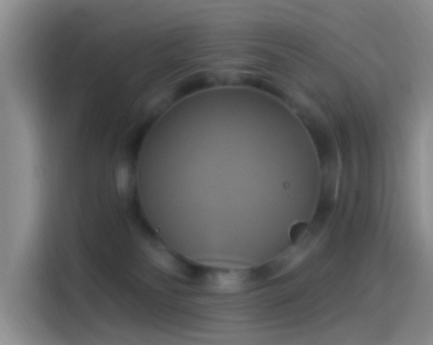 X0000114100134200910131330