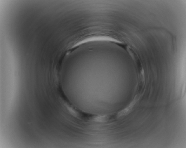 X0000114100136200910131330