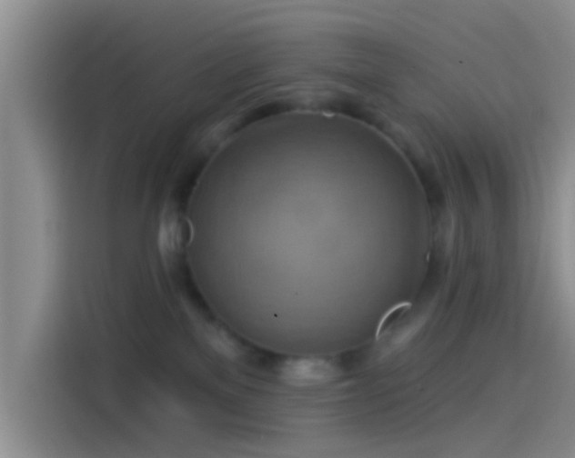 X0000114100137200910131330