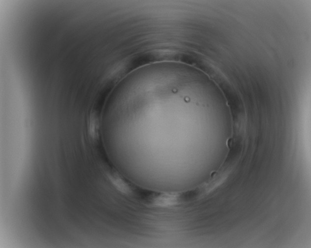 X0000114100138200910131330