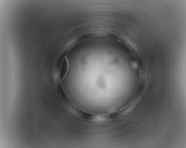 X0000114100141200910131330