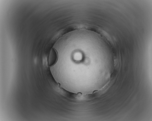 X0000114100142200910131330