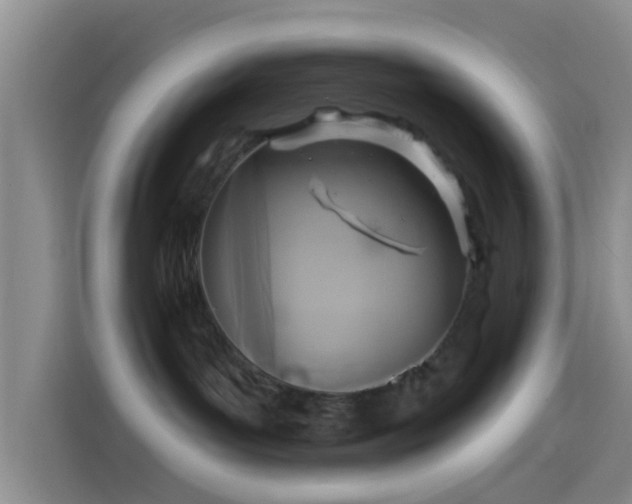 X0000114100143200910131330