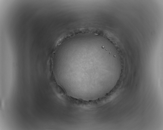 X0000114100144200910131330