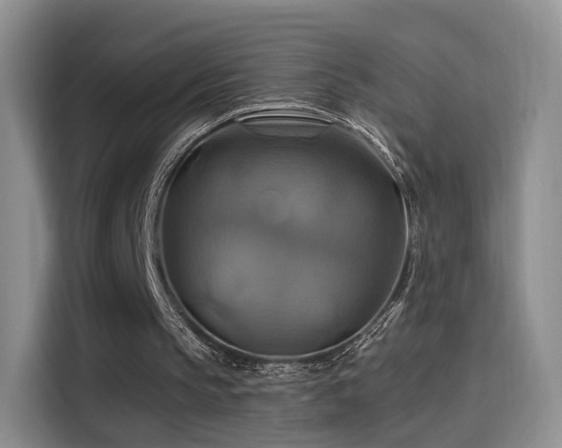 X0000114100145200910131329