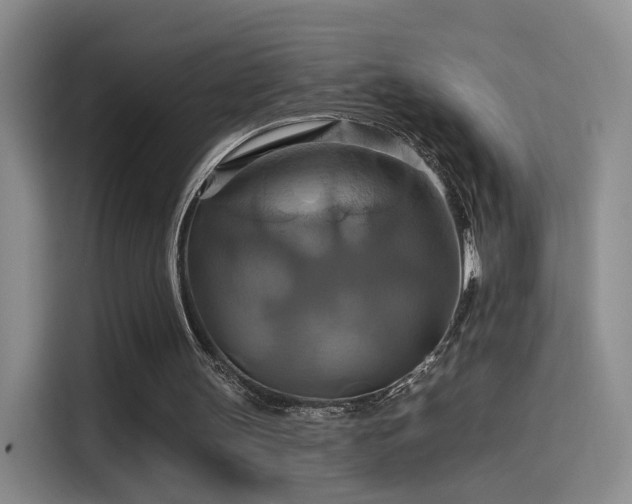 X0000114100147200910131329