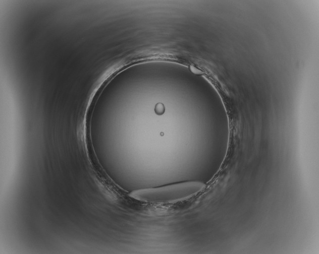 X0000114100148200910131329