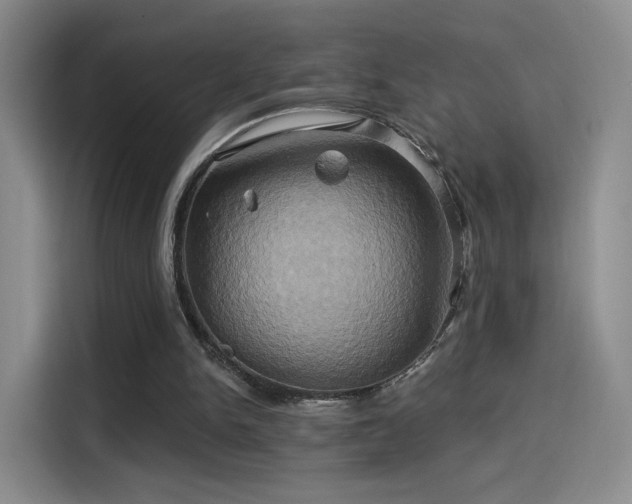 X0000114100150200910131329