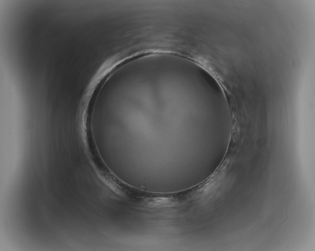 X0000114100151200910131329