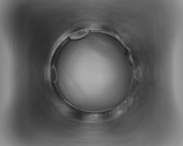 X0000114100152200910131329