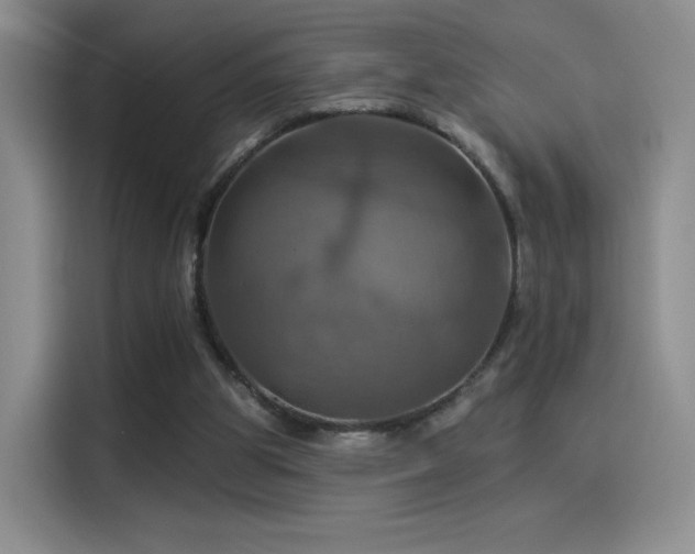 X0000114100153200910131329