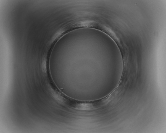 X0000114100154200910131329