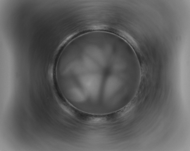 X0000114100155200910131329