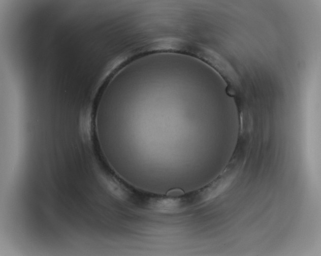 X0000114100156200910131329