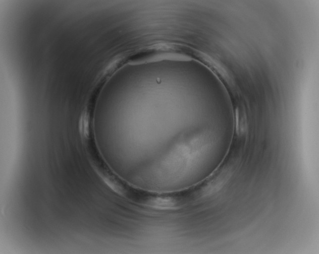 X0000114100157200910131329