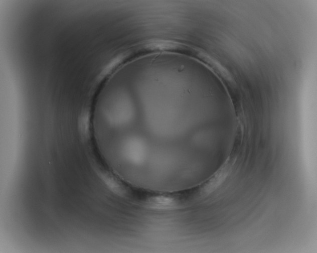 X0000114100159200910131329