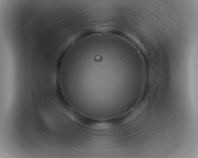 X0000114100161200910131329