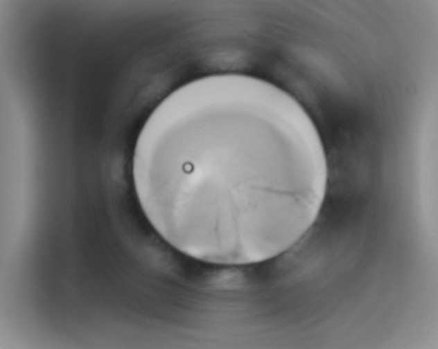 X0000114100162200910131329