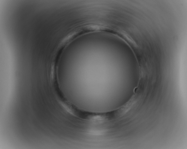 X0000114100163200910131329