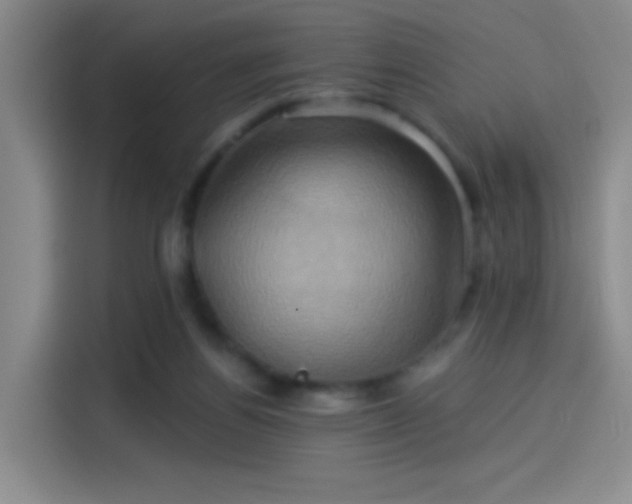 X0000114100164200910131329