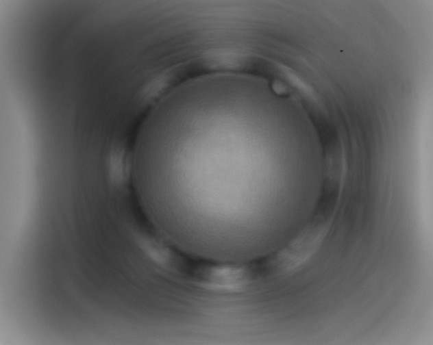 X0000114100168200910131329