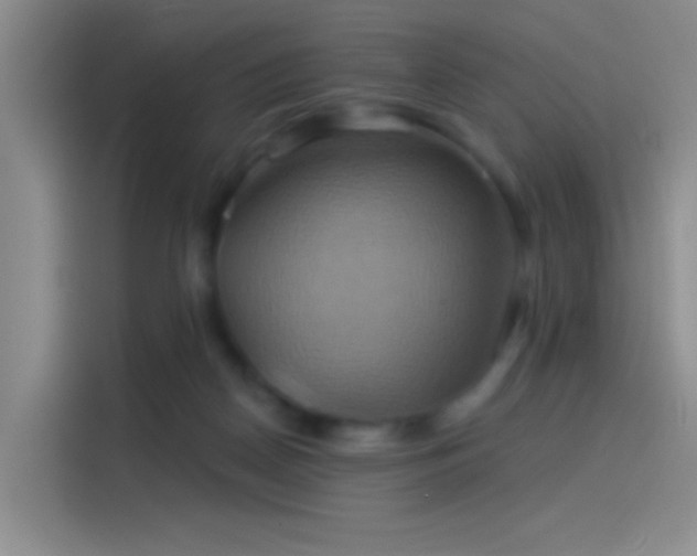 X0000114100170200910131329