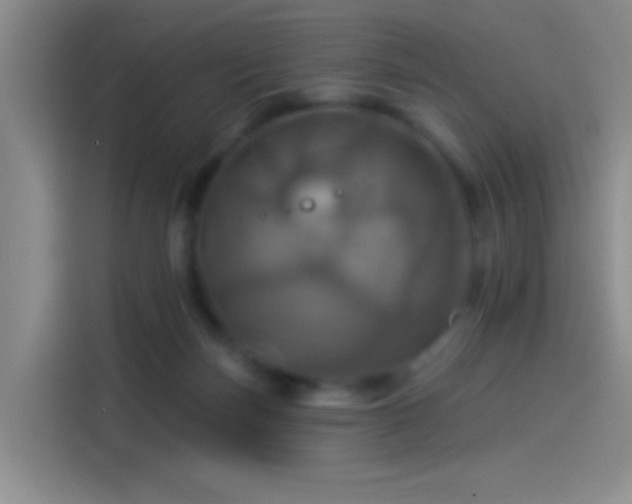 X0000114100171200910131329