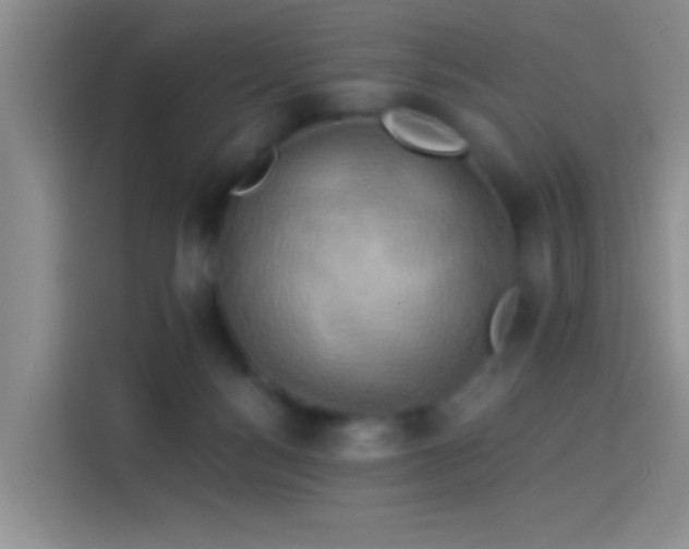 X0000114100172200910131329