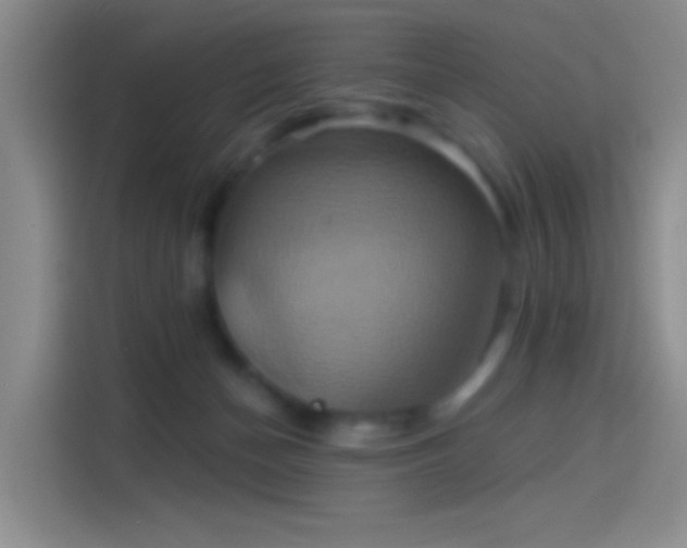 X0000114100174200910131329