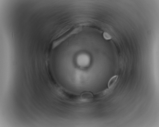 X0000114100175200910131329