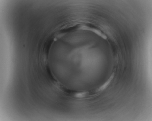 X0000114100178200910131329