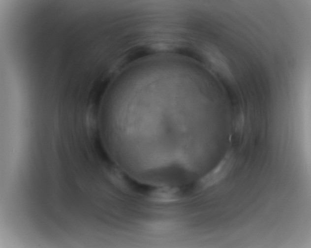 X0000114100179200910131329