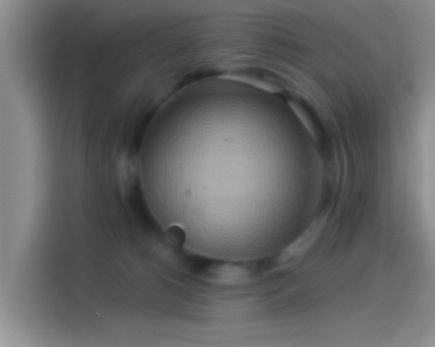 X0000114100180200910131329