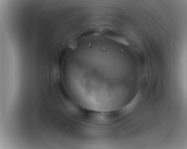 X0000114100182200910131330