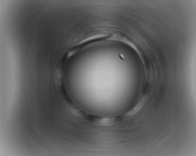 X0000114100184200910131330