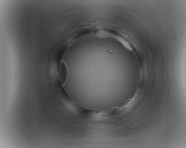 X0000114100186200910131330